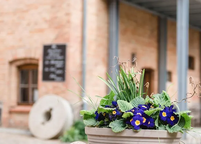 Muehle Am Wentowsee Guest house 3*