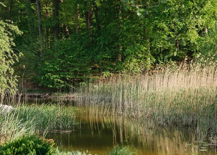 Muehle Am Wentowsee Pensionat Tornow